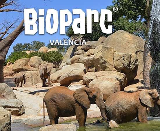 Bioparc Valencia